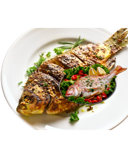 BALIK & DENİZ ÜRÜNLERİ